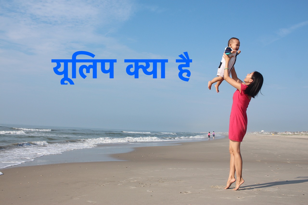 ULIP in Hindi - यूलिप क्या है