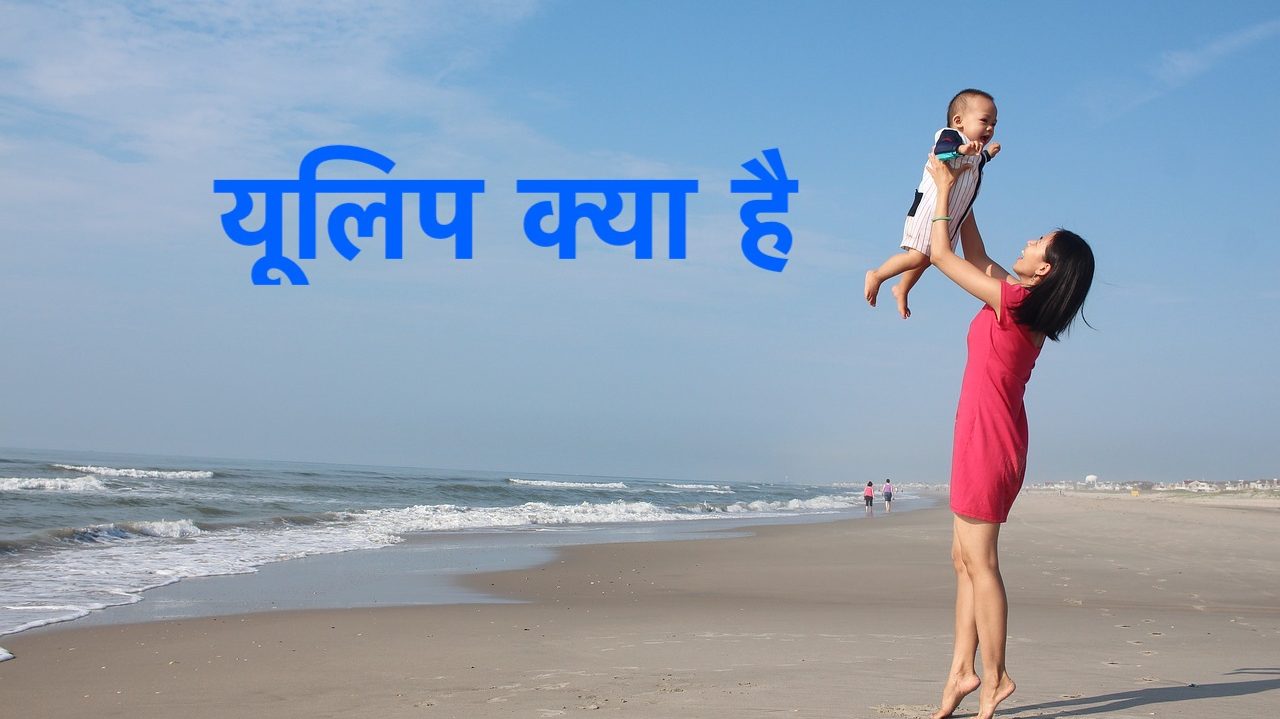 ULIP in Hindi – यूलिप क्या है