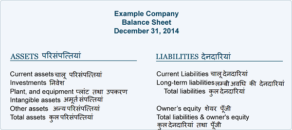 Balance Sheet in Hindi 
