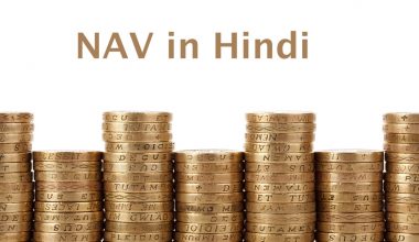 NAV full form in Hindi
