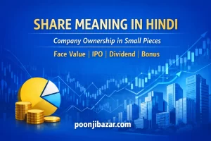 Share Meaning in Hindi