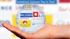 Endowment Plan Meaning in Hindi