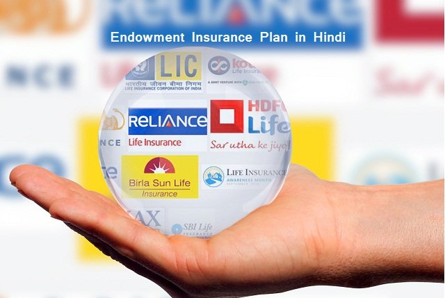 Endowment Plan Meaning In Hindi