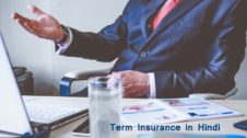 Term Insurance Meaning in Hindi
