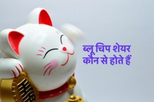 ब्लू चिप शेयर कौन से होते हैं