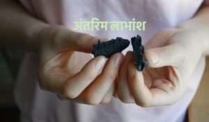 अंतरिम लाभांश