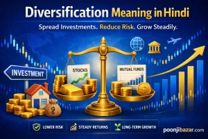 Diversification Meaning in Hindi