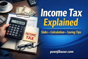 Income Tax Explained in Hindi