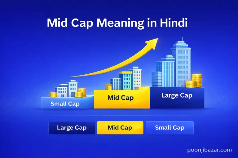 Mid Cap meaning in Hindi