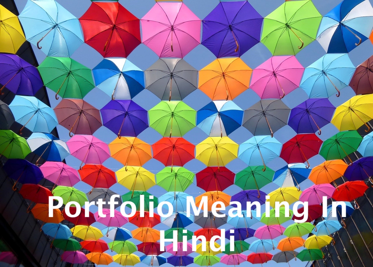 Portfolio Meaning in Hindi पोर्टफोलियो