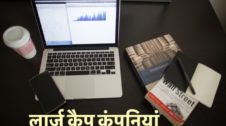 Large Cap Meaning in Hindi