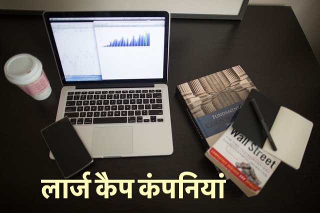 Large Cap Meaning in Hindi लार्ज कैप कंपनियां 