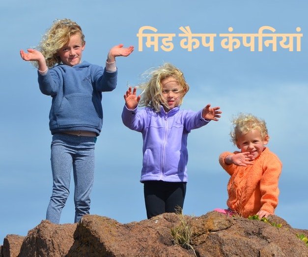 Mid Cap Meaning in Hindi मिड कैप कंपनियां 