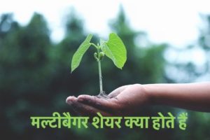 मल्टीबैगर शेयर क्या होते हैं