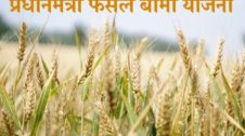Pradhanmantri Fasal Bima Yojana in Hindi