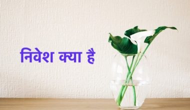 निवेश क्या है