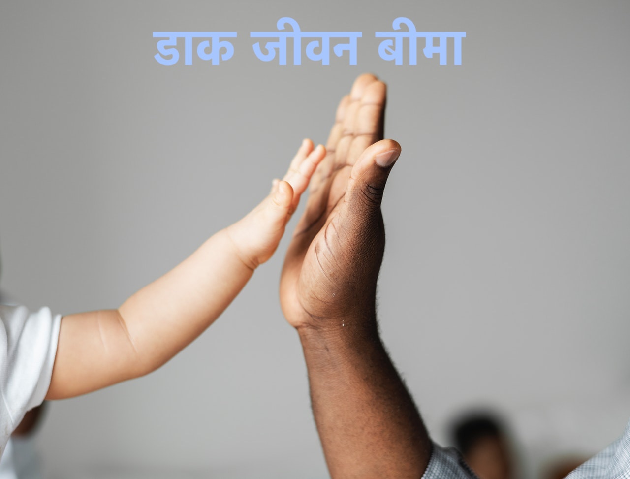 डाक जीवन बीमा PLI In Hindi