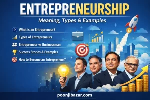 Entrepreneur Meaning in Hindi