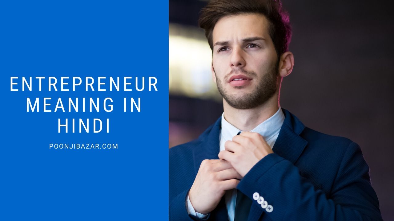 Entrepreneur Meaning in Hindi